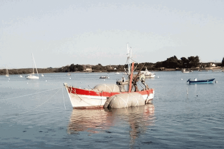 SYSTÈME-DE-LEVAGE-POUR-BATEAUX-ET-CATAMARANS-